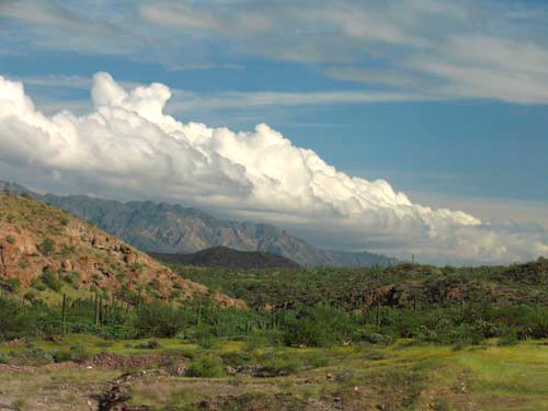 View of desert and Concepcion peninsula