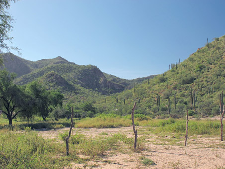 El Rastro area