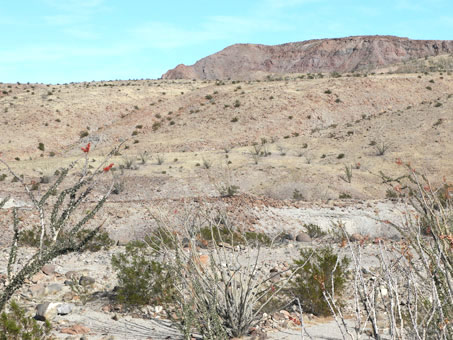 Arroyo Las Arrastras