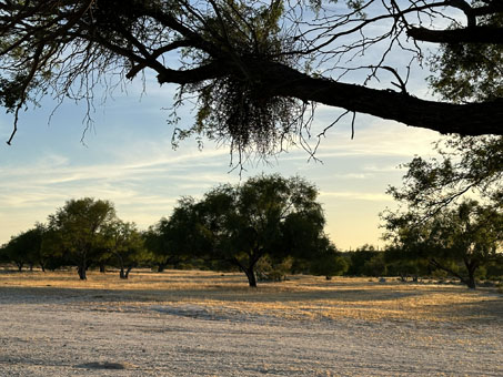 Rancho Santa Ines, Catavina at sunset
