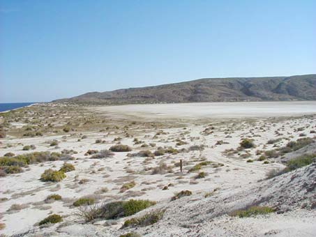 dunes and salt flats