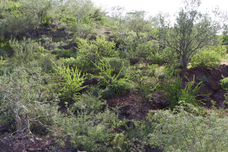 Sierra la Giganta