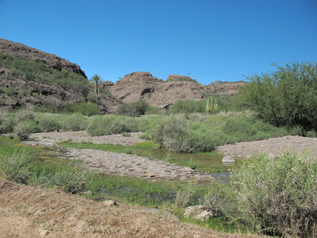 wetland in bottom of arroyo