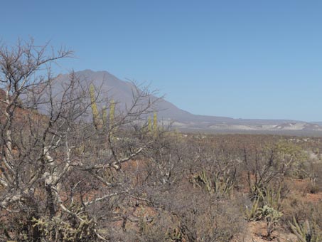 volcano and desert scrub