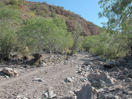 petroglyphs